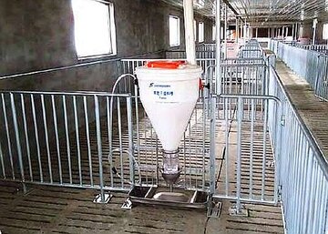 Automatisches Trockenfutterverteilungssystem Schweinezucht - Automatisches Trockenfutterverteilungssystem