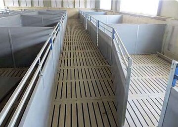 Zubehör für Boxen Schweinezucht - Zubehör für Boxen