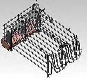 Schweinezucht - Stallsysteme für verschiedene Tiergruppen