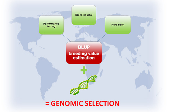 New ways of estimating breeding value and breeding projects