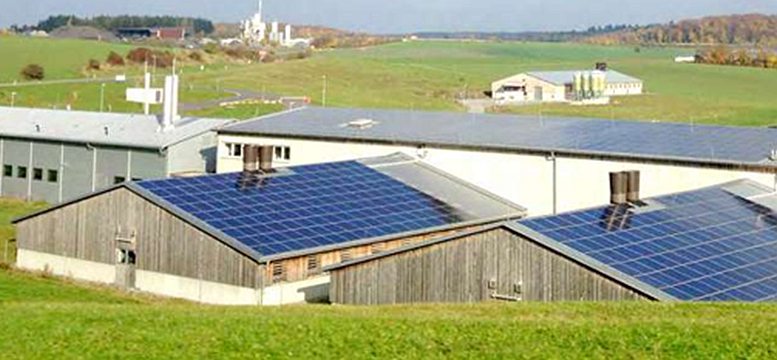 Pig farming - Photovoltaic (PV) panels
