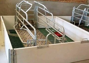 Pig farming - Stall systems