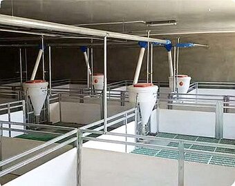 Pig farming - Stall systems