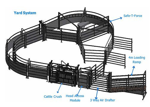Permanent yard systems Cattle farming - Permanent yard systems