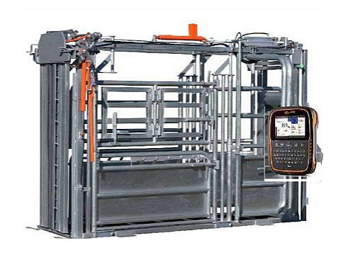 Permanent yard systems Cattle farming - Permanent yard systems