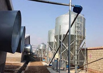 Pig farming - Automatic dry feeding system