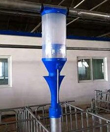 Automatic dry feeding system Pig farming - Automatic dry feeding system