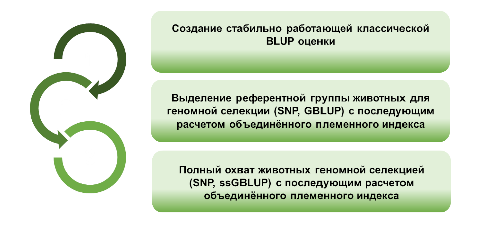 ssGBLUP Оценка племенной ssGBLUP Оценка племенной ценности